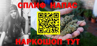 дживик Славгород