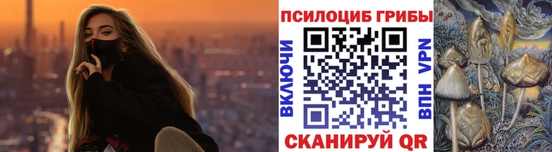 Галлюциногенные грибы Magic Shrooms  ссылка на мегу tor  Тулун 