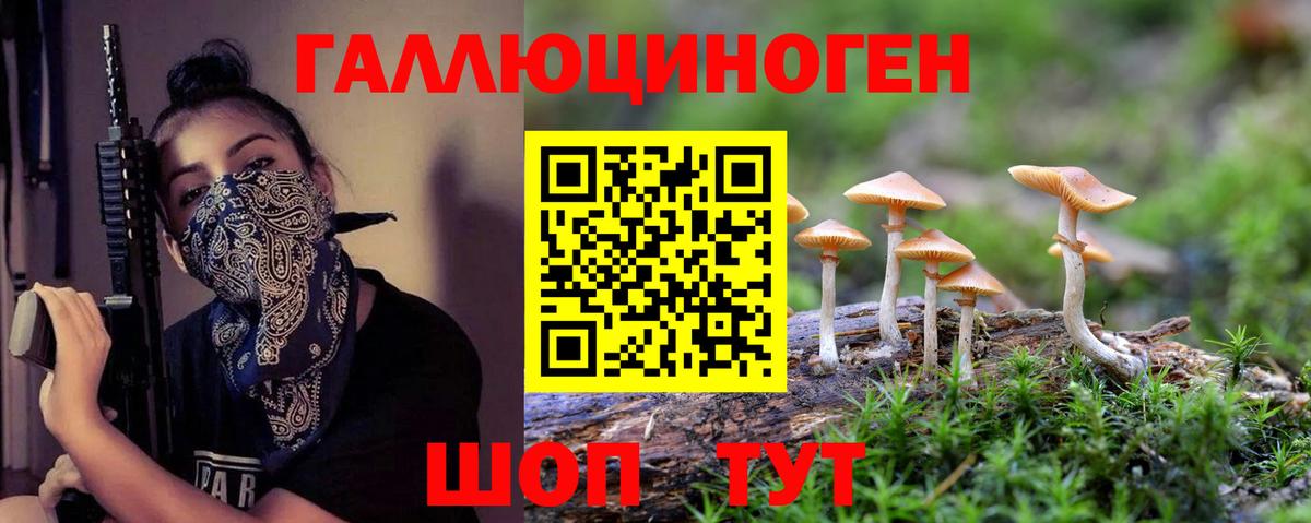 Галлюциногенные грибы Psilocybine cubensis Тулун
